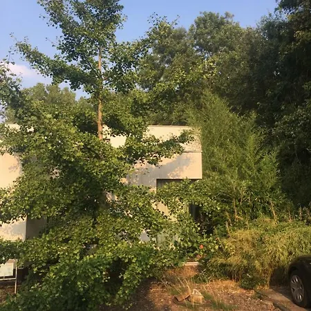 Suite ! Moin Die Rattanbude Wunstorf Exterior foto